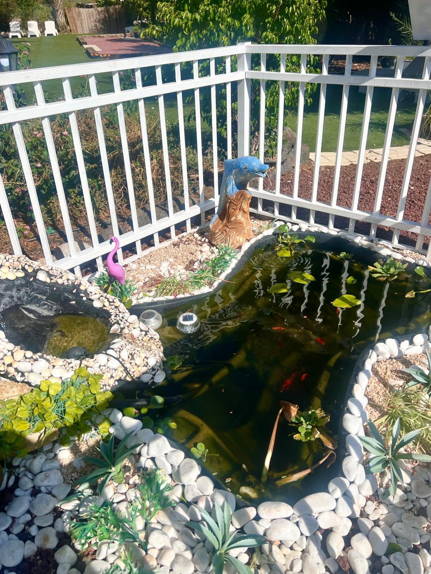 Magical In The Galilee Motel Qiryat Shemona Buitenkant foto